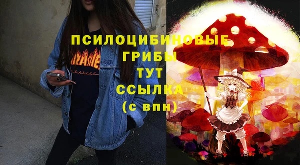 дживик Алексин