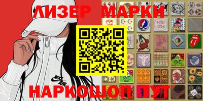 крисы Можга