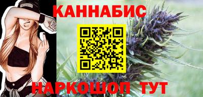 крисы Можга
