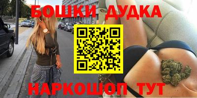 крисы Можга