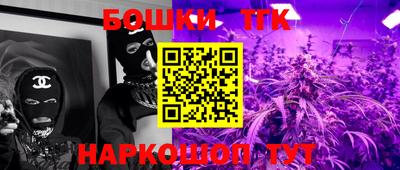 крисы Можга