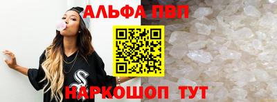 крисы Можга