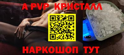 крисы Можга