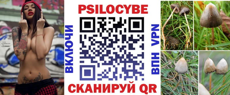 хочу   Дубна  Псилоцибиновые грибы GOLDEN TEACHER 