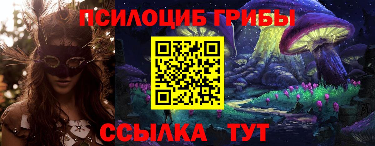 Галлюциногенные грибы мицелий  Вход с VPN  Дубна 